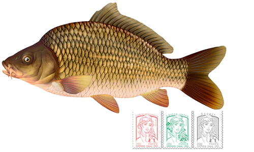 Etes-vous pour ou contre l'instauration d'un timbre ''Pêche de la carpe de nuit'' à 10 € ?