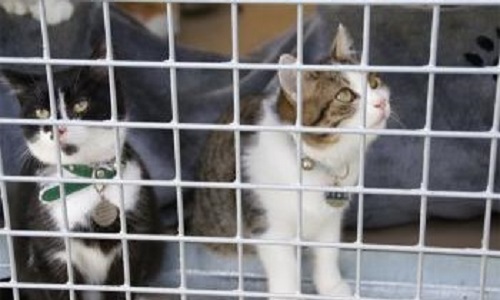 Êtes-vous pour la fermeture du refuge Savoir Donner ?