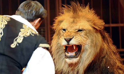 Souhaitez-vous que la commune de Saint Sulpice (Tarn - 81370) refuse d'accueillir les cirques qui exploitent des animaux ?