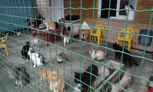 Etes-vous pour la fin des agissements de savoir donner ou qu'il mette son refuge aux normes ?