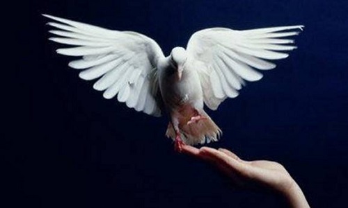 Êtes-vous pour la Paix et La Bonne-entente entre différentes communautés?