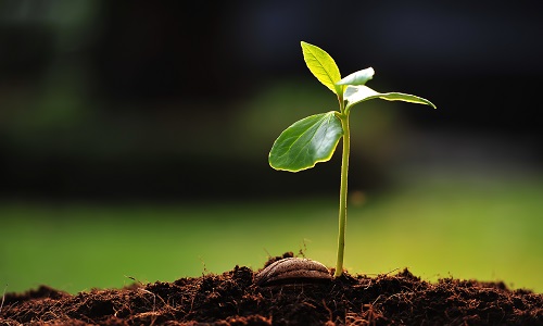 Pour ou contre la nature ?