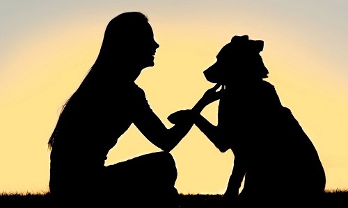 Pour ou contre la protection des animaux ?