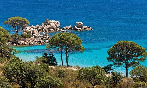 Que souhaitez-vous pour la Corse ?