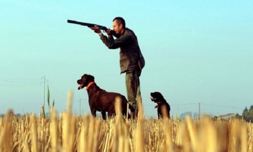 Pour l'interdiction de la chasse les mercredis, samedis, dimanches, vacances scolaires et jours fériés ?