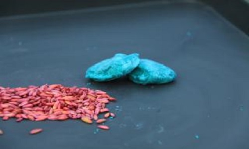 Pour ou contre l'utilisation des raticides qui sont un produit dangereux pour les enfants et animaux domestiques qu'on trouve n'importe où ?