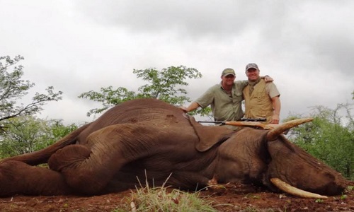 Chasse aux trophées : que pensez-vous de cette pratique ?