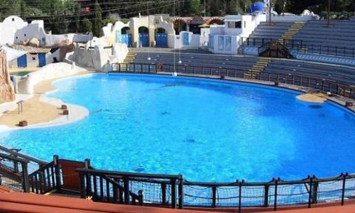 Êtes-vous au courant que le Parc Astérix possède un Delphinarium ?