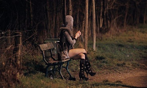 Faut-il professionnaliser les prostitués(es)?