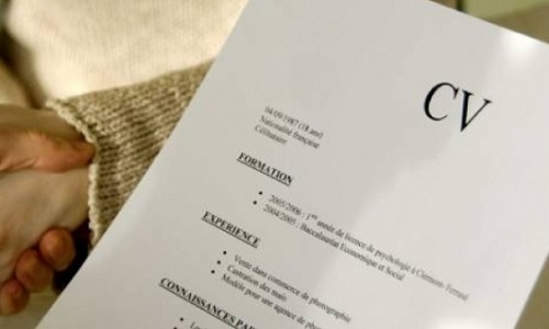 Pensez-vous que la e-reputation pourrait dans les années à venir être un élément crucial dans un CV ?