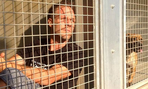 Soutenez-vous l'action de Rémy Gaillard enfermé dans une cage de la SPA pour sensibiliser l'opinion publique à la cause animale?