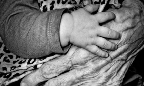 Nos retraites n'ont pas augmenté depuis plus de dix ans, trouvez-vous cela normal ?