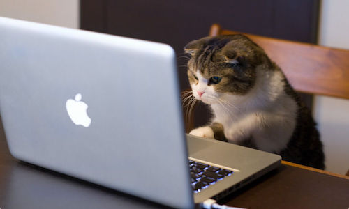 Regardez-vous des vidéos pornographiques sur internet ?