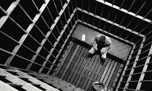 Pour ou contre la peine de prison pour la maltraitance animale ?