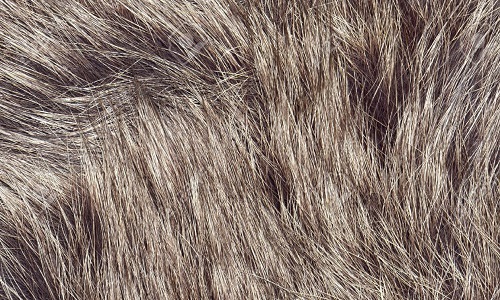 Aimez-vous la fourrure animale ?