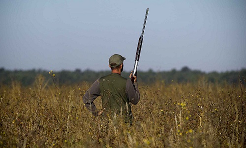 Est-il normal qu'un local de chasse se trouve dans une cour où il y a des logements ?