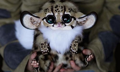 Quel animal fantastique vous ressemble ?