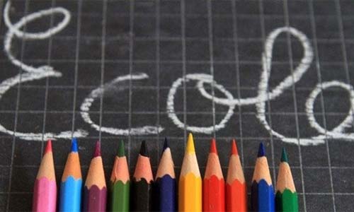 Trouvez-vous normal, qu'en France, il existe des établissements scolaires et universitaires privés et publics ?