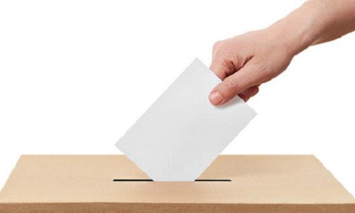 Avec tous les scandales en politique comme Fillon et Macron, pour qui allez-vous voter ?