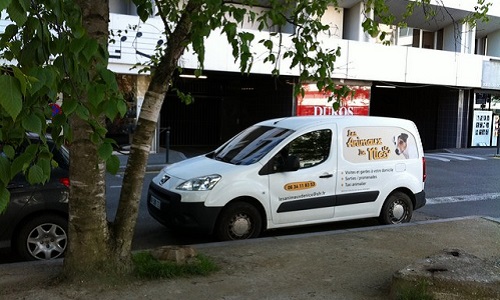 Connaissez-vous les nouvelles formations de taxis animaliers, ambulanciers animaliers, service funéraire animalier ?