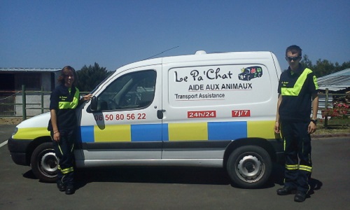 Connaissez-vous bien le métier d'ambulancier animalier ?