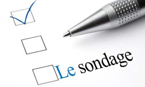 Seriez-vous d'accord pour que l'on applique l'article 49 - 3 pour mettre fin à tous les sondages 15 jours avant le premier tour des élections présidentielles ?