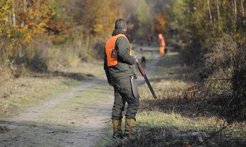 Quelle est votre position sur la Chasse aujourd'hui en France ?