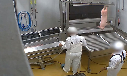 Procès des abattoirs du Vigan : êtes-vous satisfait du jugement ?