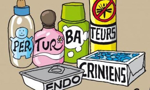 Pour ou contre l'utilisation de perturbateurs endocriniens dans les shampoings et autres produits cosmétiques ?
