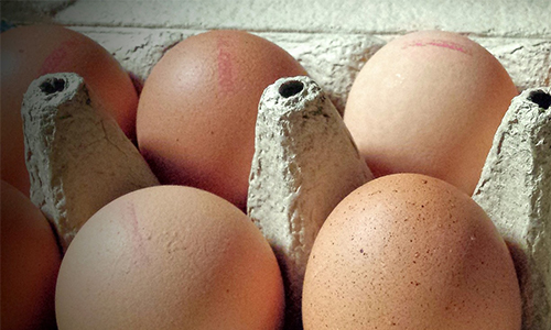 Oeufs contaminés : allez-vous réduire ou stopper votre consommation ?
