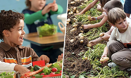 Pensez-vous que nous devions sensibiliser les élèves à l'éco-citoyenneté à l'école primaire et au collège ?