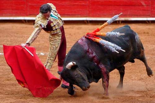 Pour ou contre la corrida ?