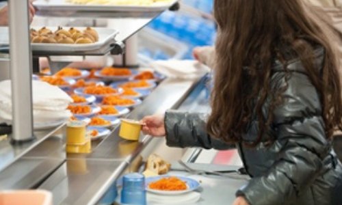 Que pensez-vous des menus végétariens ?