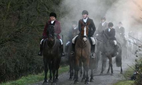 Selon-vous faut-t-il interdire la chasse à courre ?