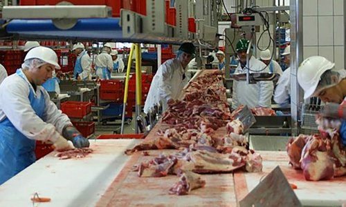 Doit-on surveiller davantage les abattoirs ?