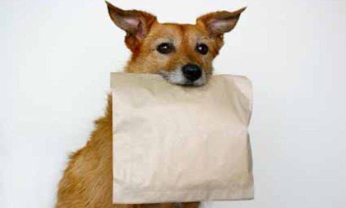 Le doggy bag obligatoire au restaurant, votre opinion ?