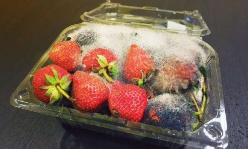 Les solutions pour lutter contre le gaspillage alimentaire, votre opinion ?