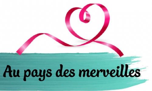 Seriez-vous intéressés par l'ouverture prochaine d'une boutique de décoration, art de la table, jeux et jouets bébés/enfants sur la commune DES AIX DANGILLON ?