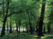 Etes-vous pour ou contre une réserve naturelle interdite à la chasse dans le massif forestier de Haguenau ?