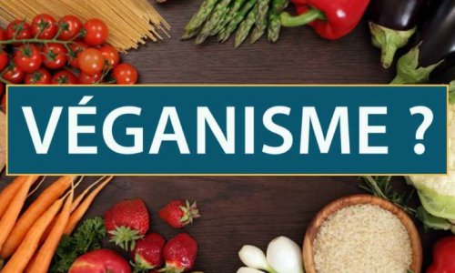 Êtes-vous pour ou contre le Véganisme en France ?