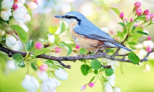 Enseigner le respect de la biodiversité dès le plus jeune âge, votre avis ?