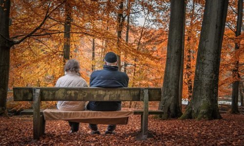 Retraités, allez-vous montrer votre mécontentement lors des élections européennes ? C'est le seul moyen de manifester depuis votre fauteuil