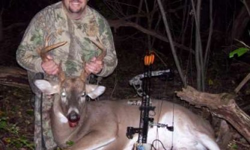 La chasse doit-elle être interdite en France et la gestion des espèces animales confiée uniquement à l'ONF ?