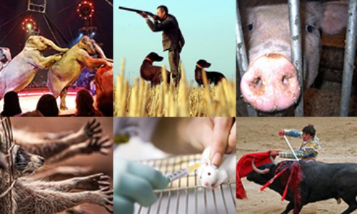 Cause animale : parmi ces 6 mesures phares, laquelle vous semble la plus urgente ?