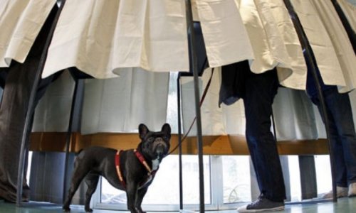 La Cause animale est-elle devenue un enjeu politique ?