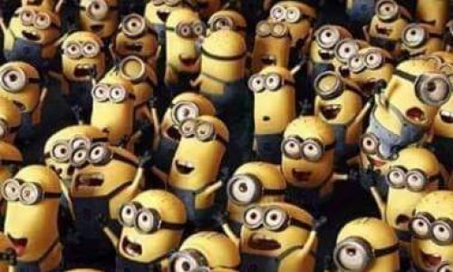 Comptage gilets jaunes