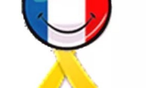 MANIFESTATION GILETS JAUNES LE 1 DECEMBRE CHAMPS DE MARS PARIS