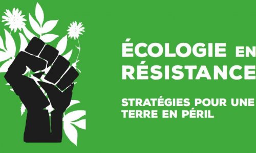 Quelles sont selon vous les priorités d'investissements pour réduire les dégâts environnementaux ?
