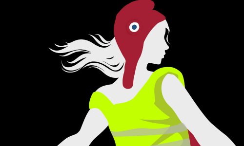 gilet jaune, qu'elle priorité: 1 destitution de macron 2 baisse des taxes (carburant, impôts...) 3 dissolution de l'assemblée et intégration de citoyens 4 baisse des revenus du gouvernement et privilèges ///