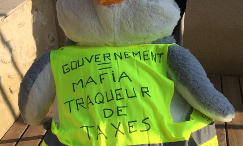 Seriez-vous prêt à envoyer votre gilet jaune à l'Elysée en notifiant dessus vos revendications ?